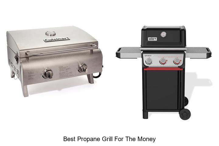 Top 15 Best Propane Grill for the Money You Can’t Miss!